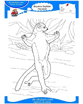 Çocuklar İçin Lemur Boyama Sayfaları 